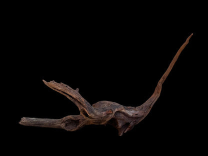 Drift Wood - 55*14*34- cod.094 AQPET