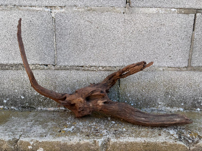 Drift Wood - 55*14*34- cod.094 AQPET