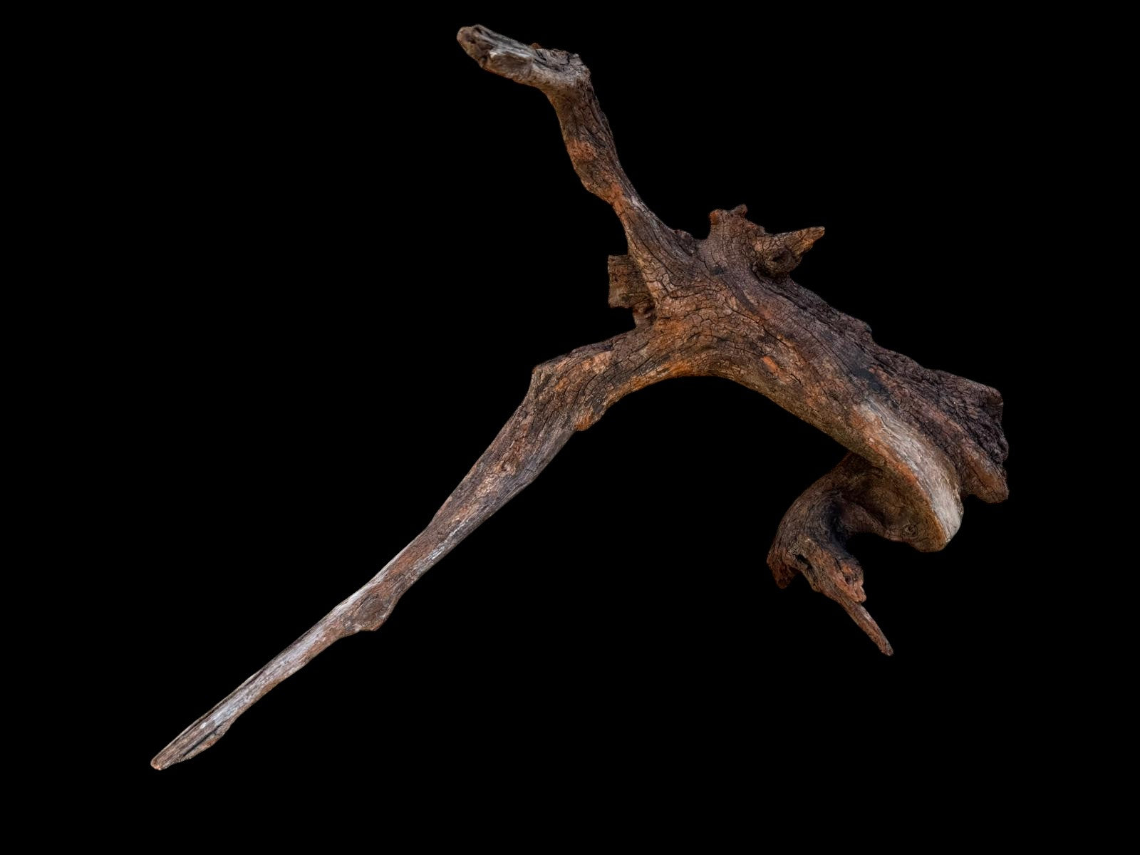 Drift Wood - 46*23*49- cod.090 AQPET
