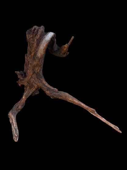 Drift Wood - 46*23*49- cod.090 AQPET