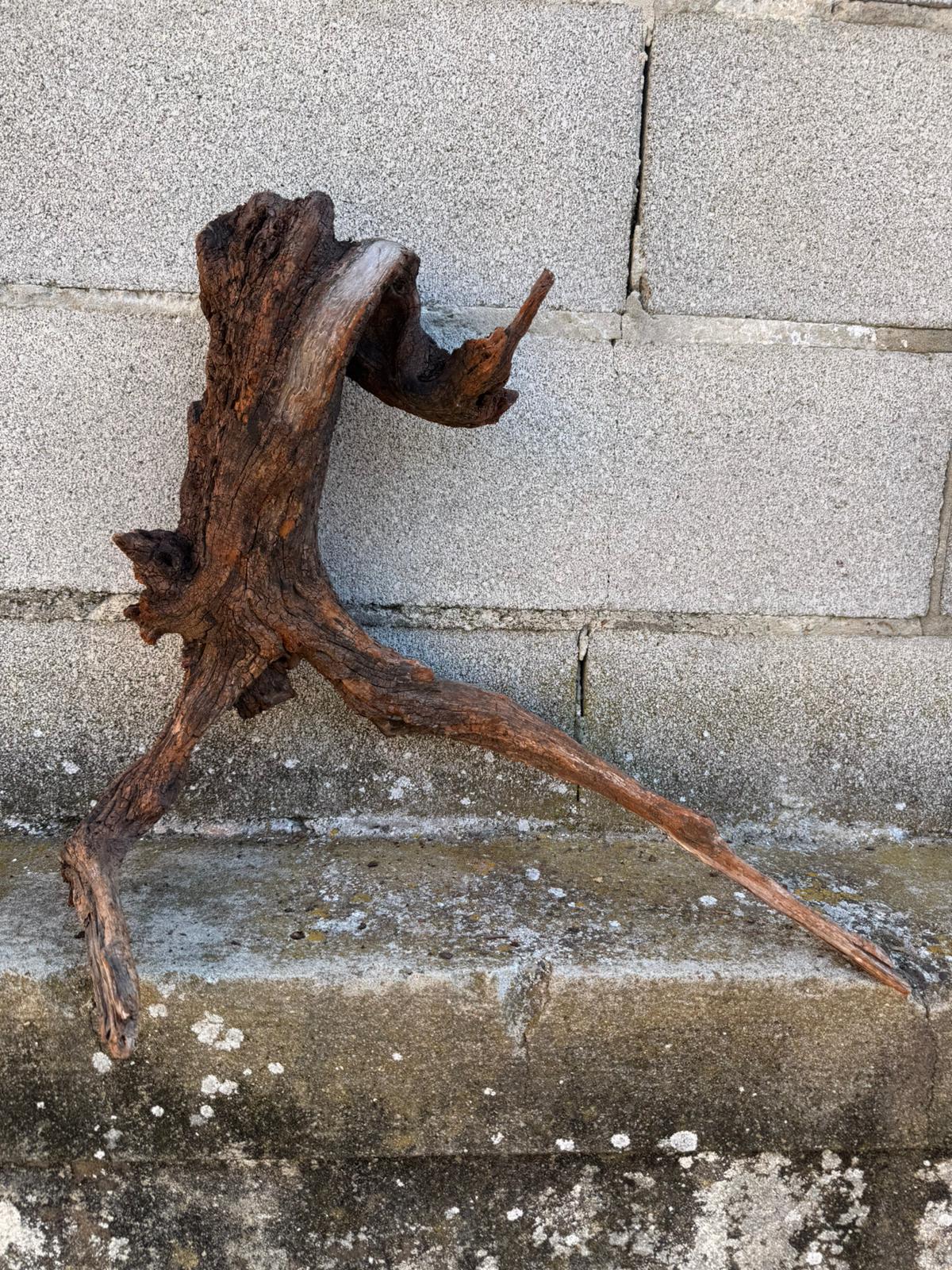 Drift Wood - 46*23*49- cod.090 AQPET