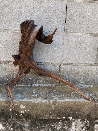 Drift Wood - 46*23*49- cod.090 AQPET