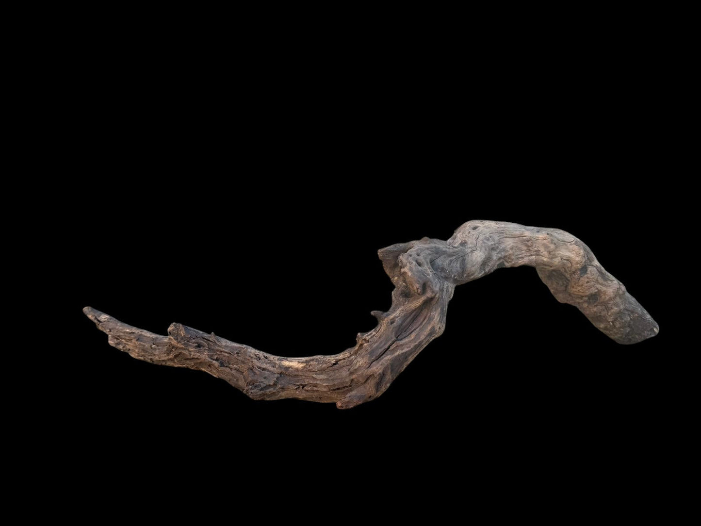 Drift Wood - 63*13*19 - cod.095 AQPET