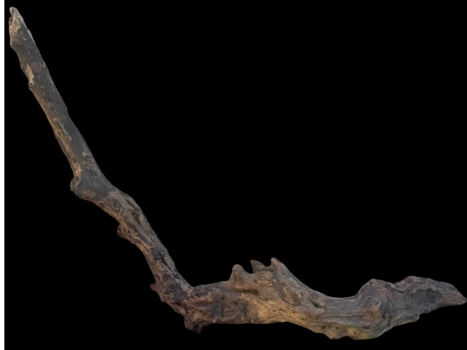 Drift Wood - 63*13*19 - cod.095 AQPET