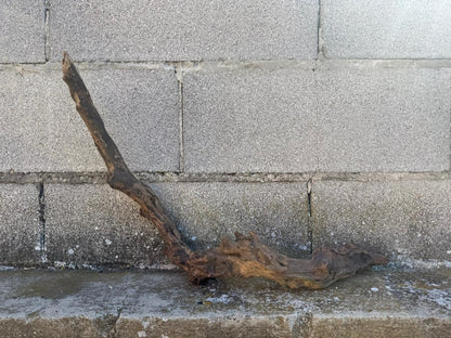 Drift Wood - 63*13*19 - cod.095 AQPET