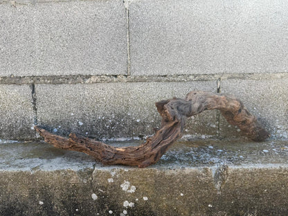 Drift Wood - 63*13*19 - cod.095 AQPET