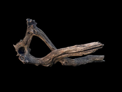 Drift Wood - 68*29*32 - cod.096 AQPET
