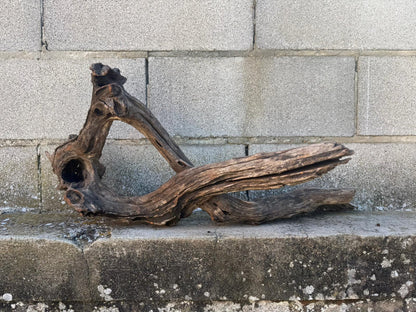 Drift Wood - 68*29*32 - cod.096 AQPET