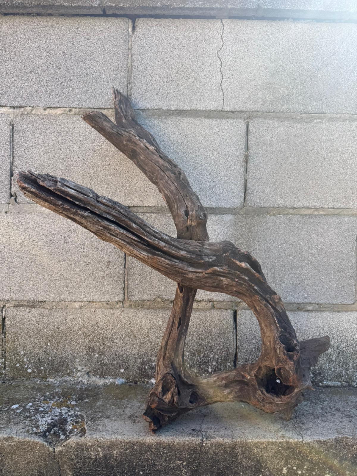 Drift Wood - 68*29*32 - cod.096 AQPET
