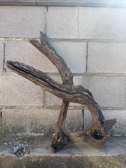 Drift Wood - 68*29*32 - cod.096 AQPET