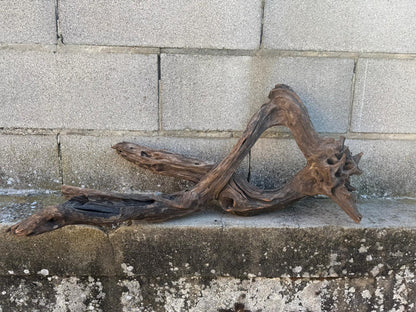 Drift Wood - 68*29*32 - cod.096 AQPET