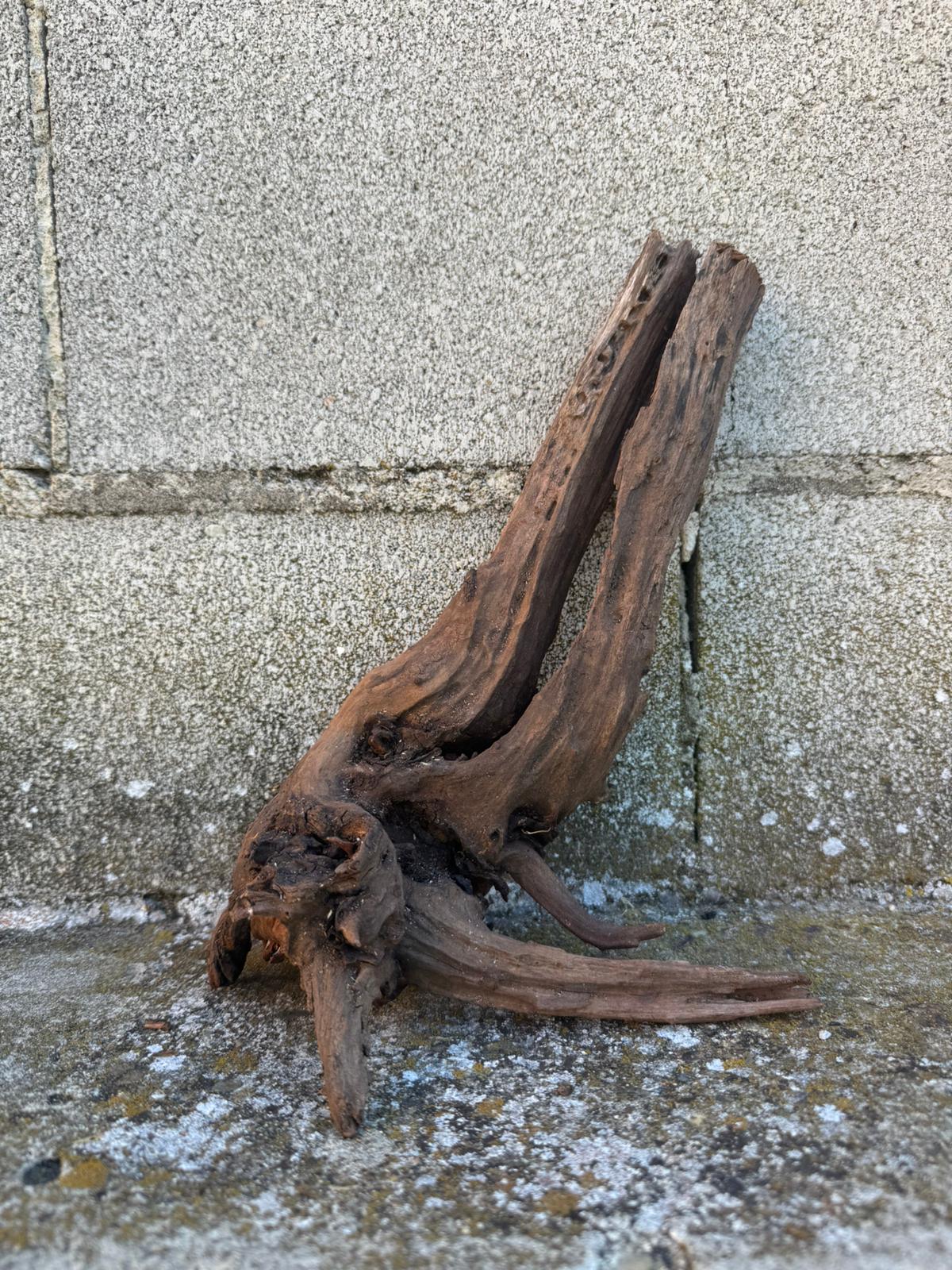 Drift Wood - 20*14*25 - cod.097 AQPET