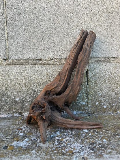 Drift Wood - 20*14*25 - cod.097 AQPET