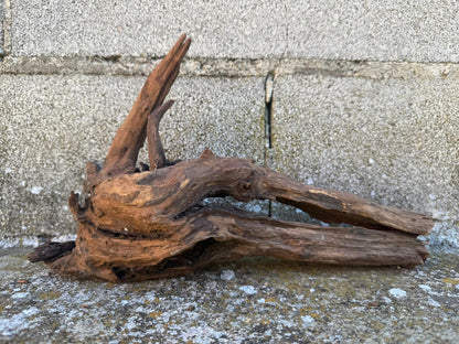 Drift Wood - 20*14*25 - cod.097 AQPET