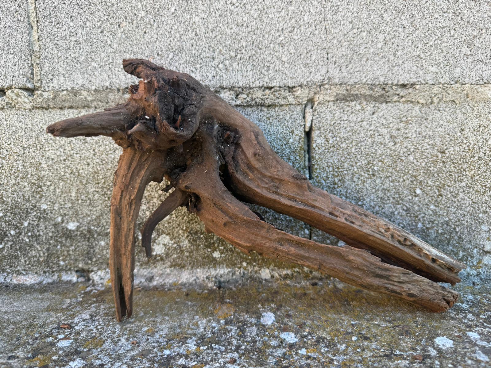 Drift Wood - 20*14*25 - cod.097 AQPET