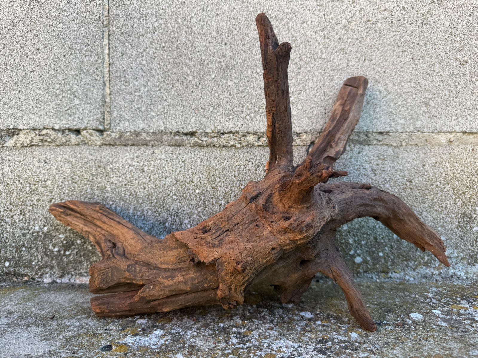 Drift Wood - 40*17*23 - cod.098 AQPET