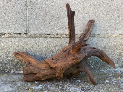 Drift Wood - 40*17*23 - cod.098 AQPET
