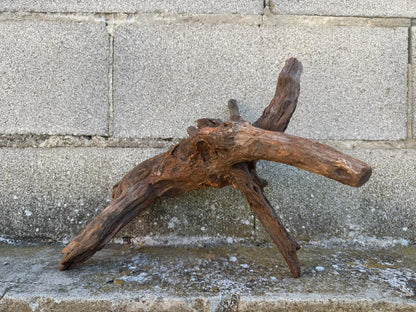 Drift Wood - 40*17*23 - cod.098 AQPET