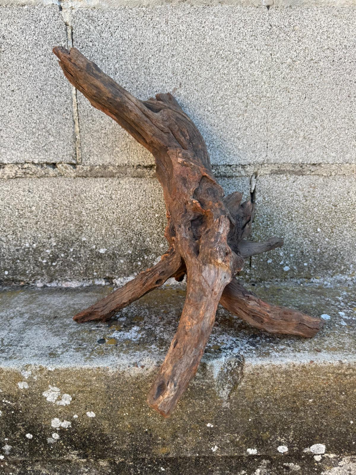 Drift Wood - 40*17*23 - cod.098 AQPET