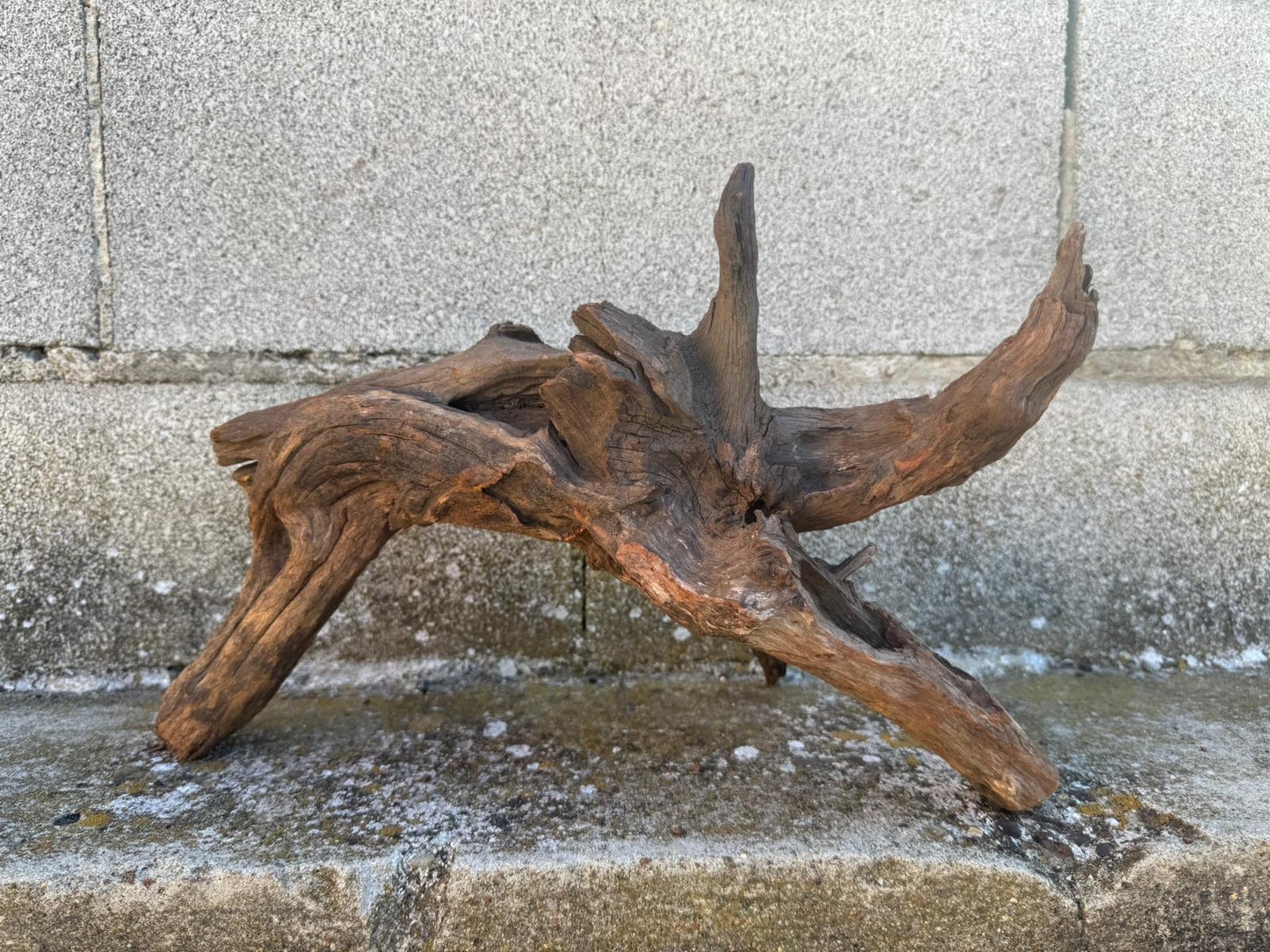 Drift Wood - 40*17*23 - cod.098 AQPET