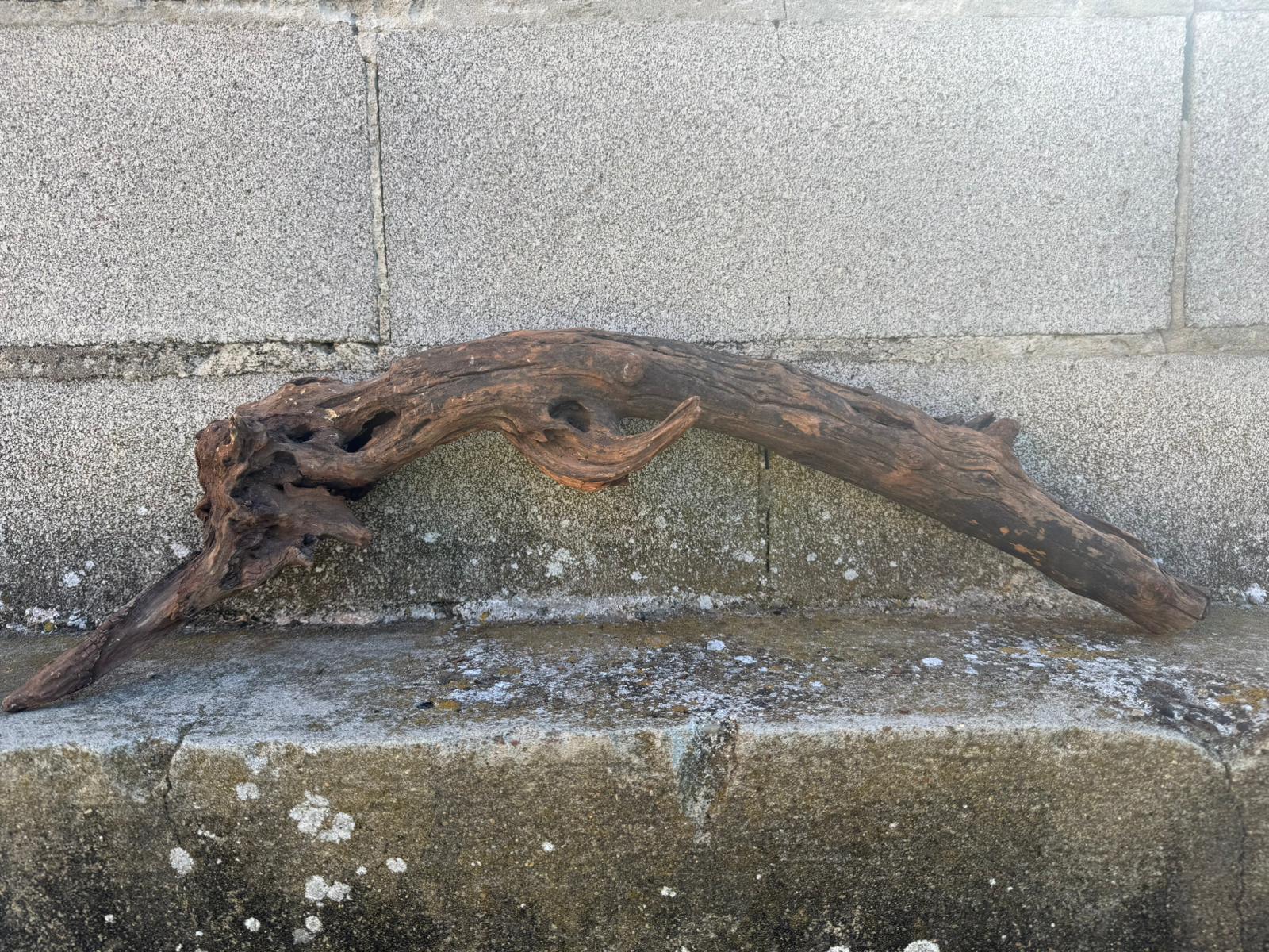 Drift Wood - 63*14*18 - cod.099 AQPET