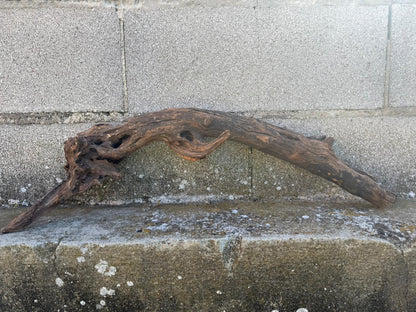 Drift Wood - 63*14*18 - cod.099 AQPET
