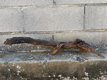 Drift Wood - 63*14*18 - cod.099 AQPET