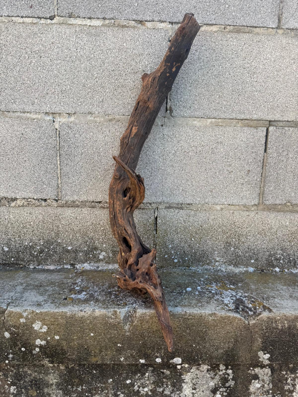 Drift Wood - 63*14*18 - cod.099 AQPET