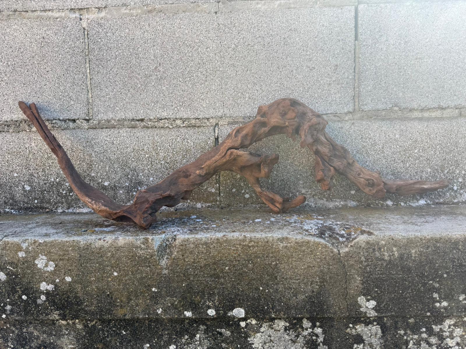 Drift Wood - 75*16*21 - cod.100 AQPET