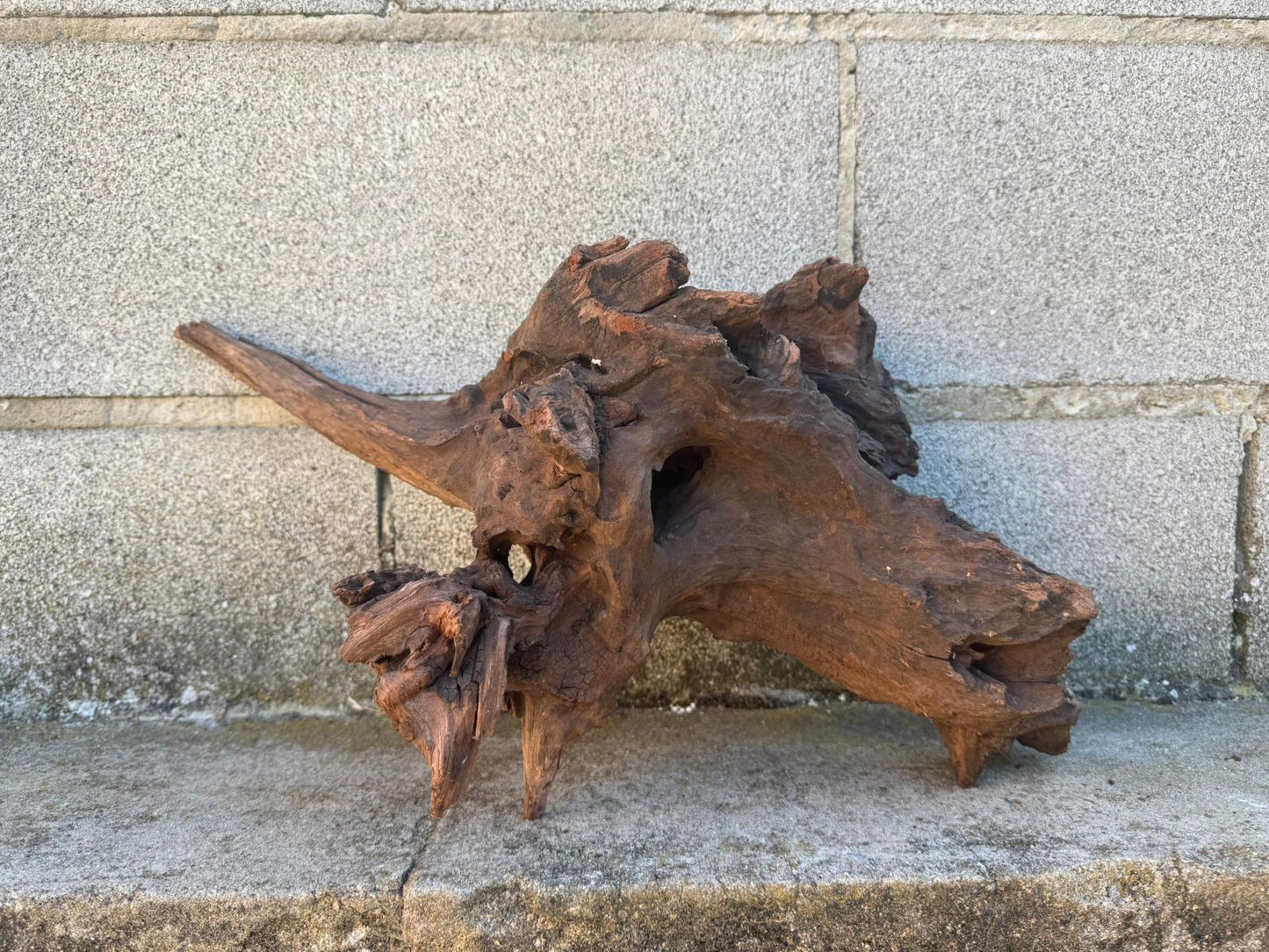 Drift Wood - 48*21*23 - cod.101 AQPET