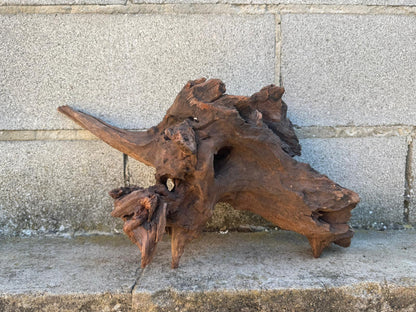 Drift Wood - 48*21*23 - cod.101 AQPET