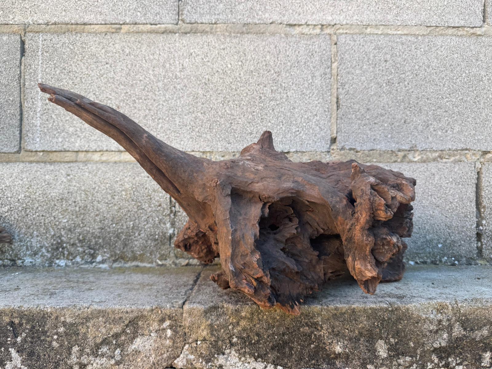 Drift Wood - 48*21*23 - cod.101 AQPET