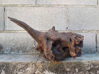 Drift Wood - 48*21*23 - cod.101 AQPET