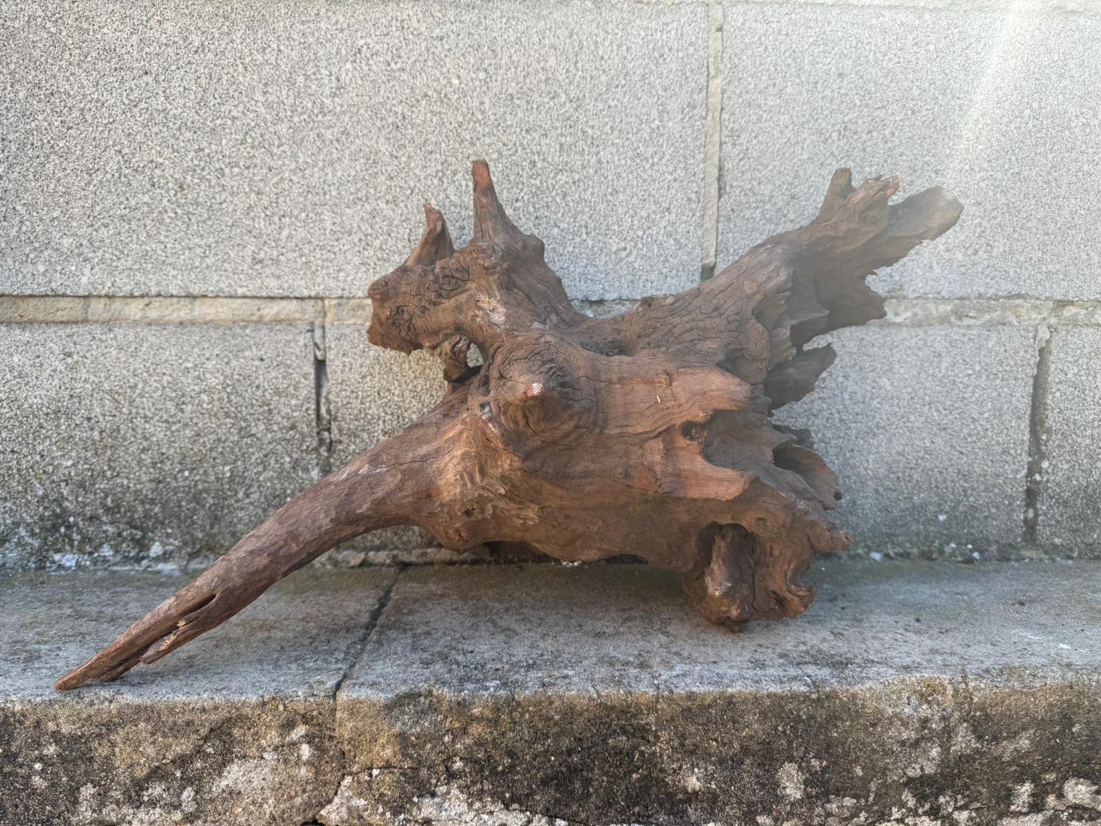 Drift Wood - 48*21*23 - cod.101 AQPET
