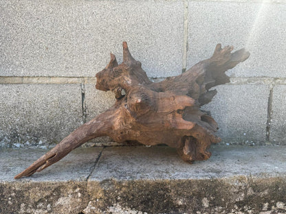 Drift Wood - 48*21*23 - cod.101 AQPET