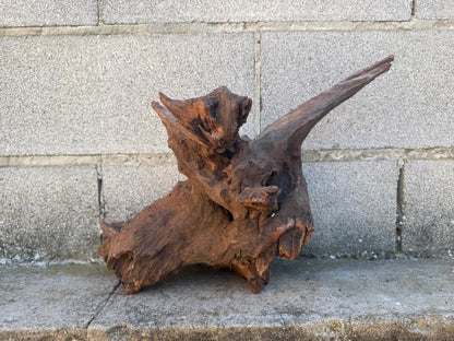 Drift Wood - 48*21*23 - cod.101 AQPET