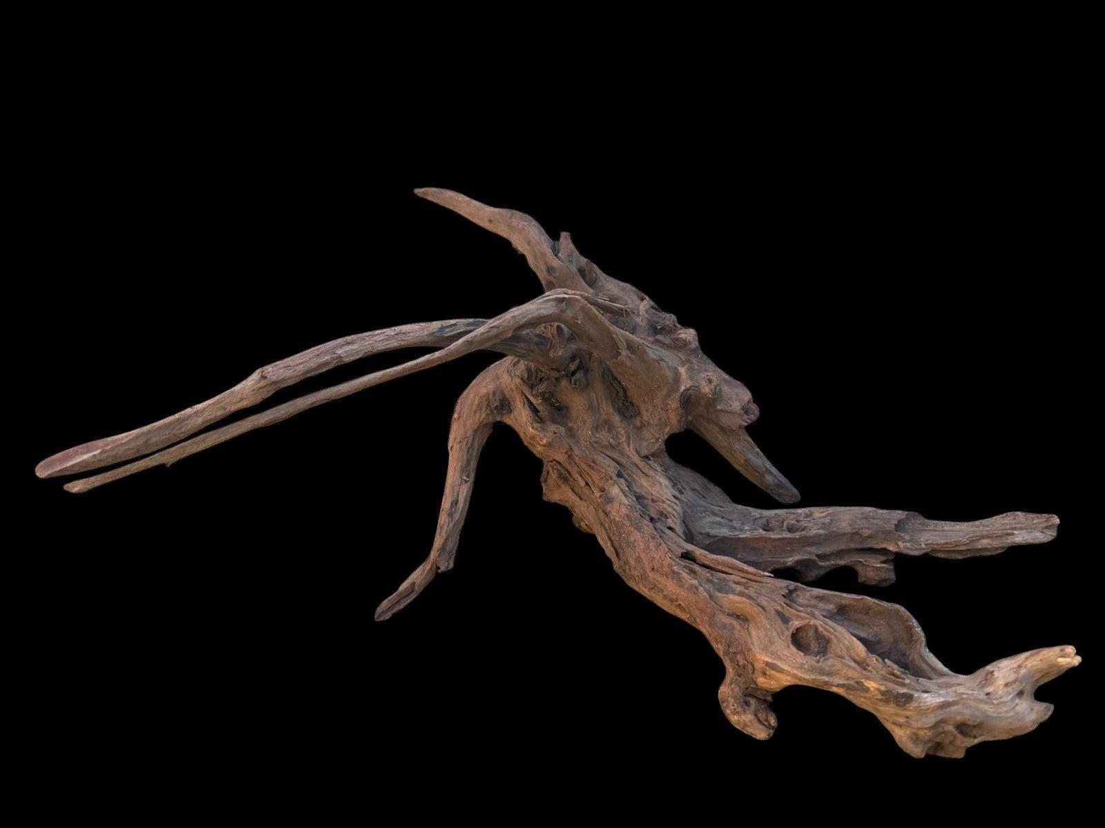 Drift Wood - 49*31*39 - cod.102 AQPET