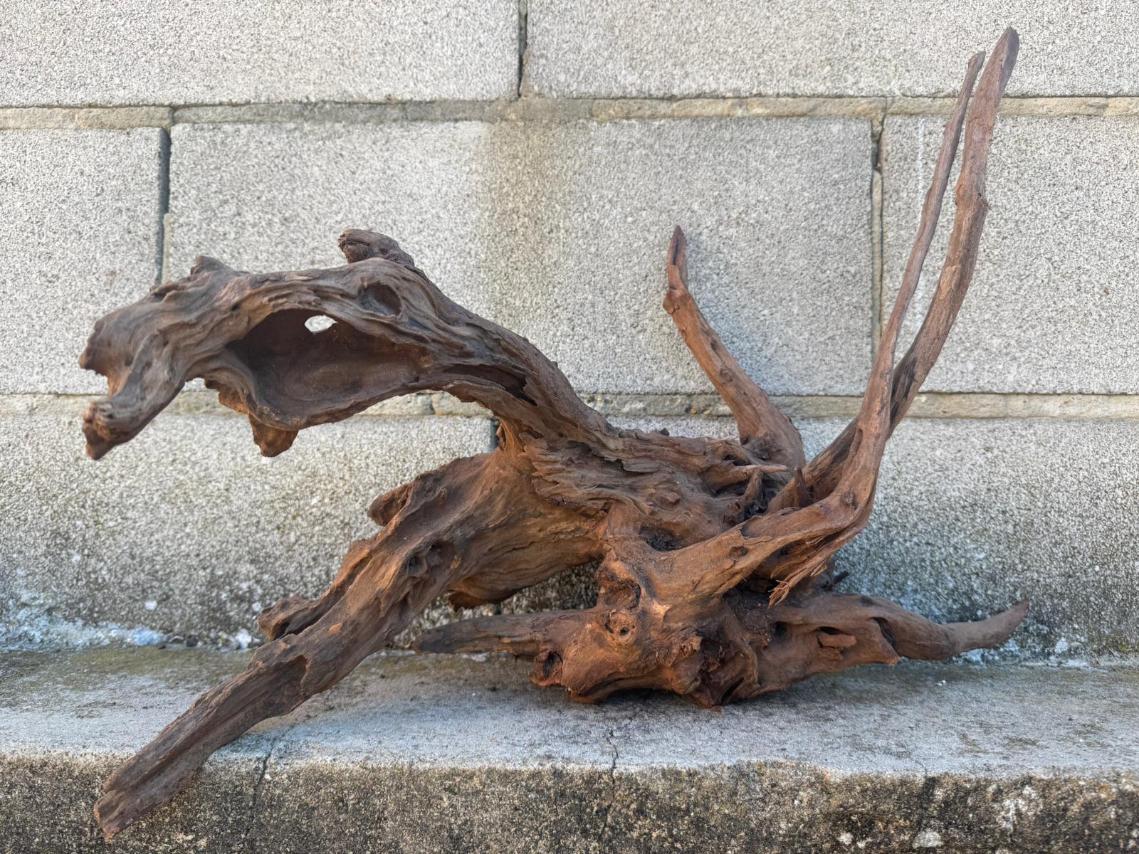 Drift Wood - 49*31*39 - cod.102 AQPET