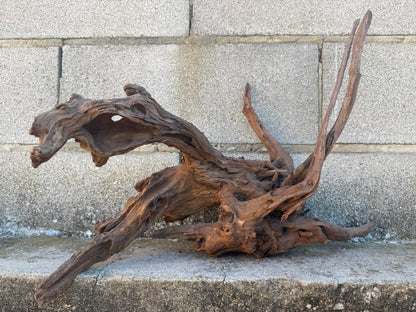 Drift Wood - 49*31*39 - cod.102 AQPET