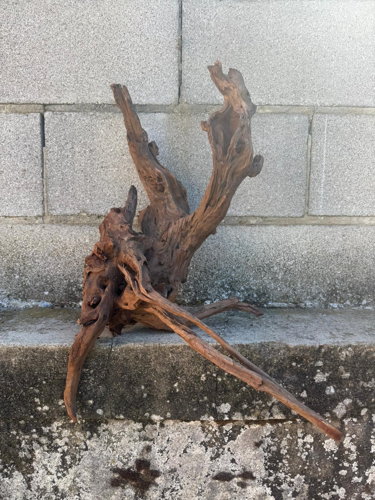 Drift Wood - 49*31*39 - cod.102 AQPET