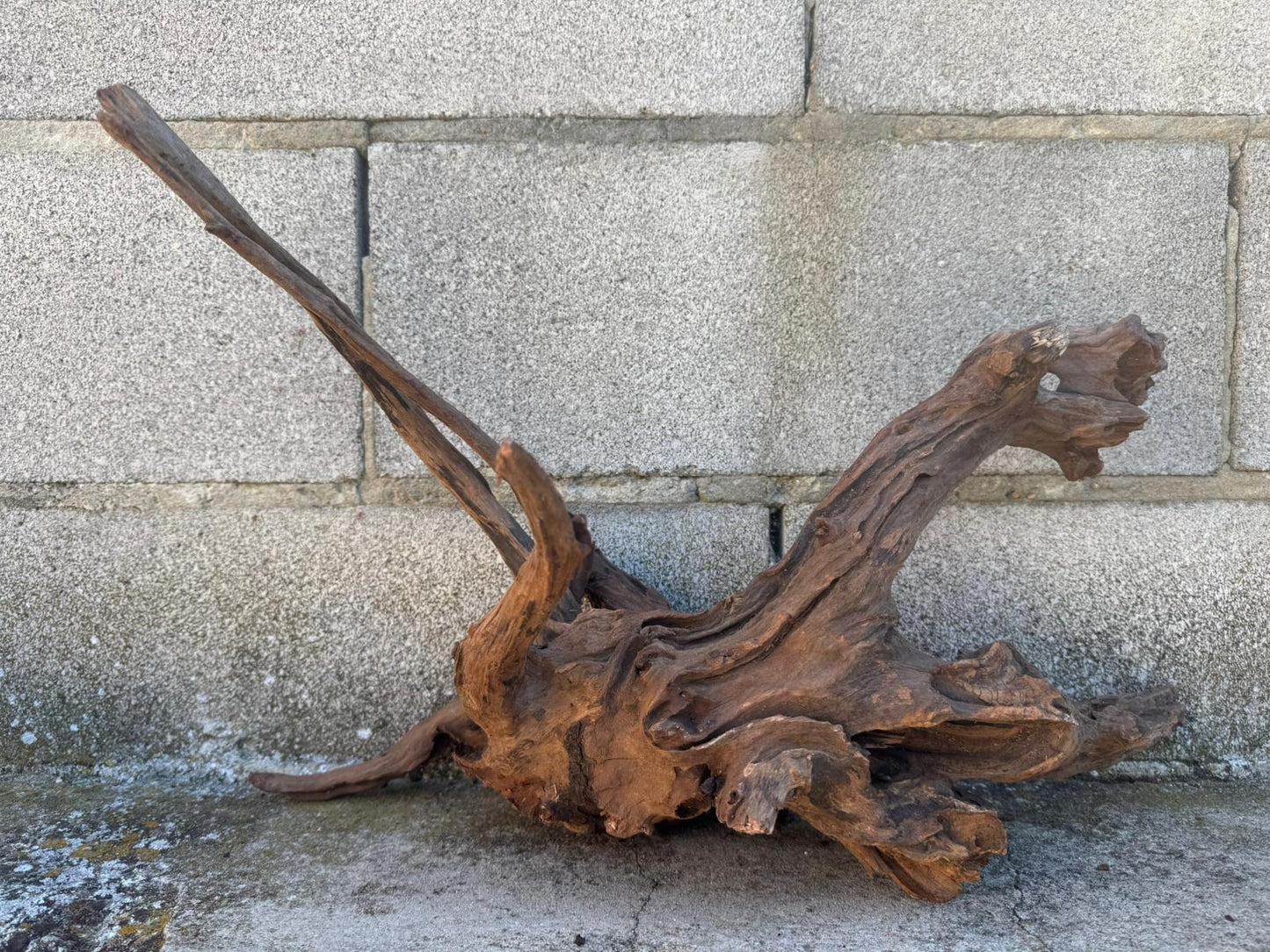 Drift Wood - 49*31*39 - cod.102 AQPET