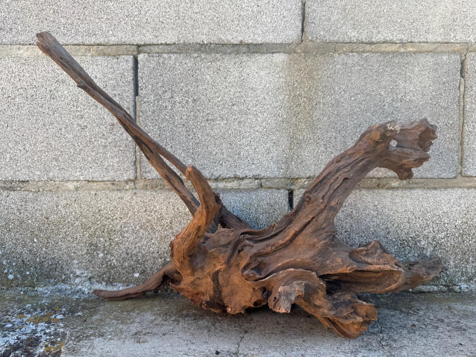 Drift Wood - 49*31*39 - cod.102 AQPET