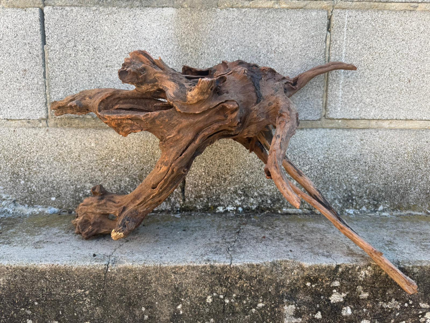Drift Wood - 49*31*39 - cod.102 AQPET