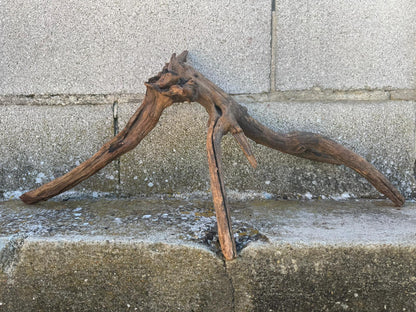 Drift Wood - 61*20*25- cod.103 AQPET