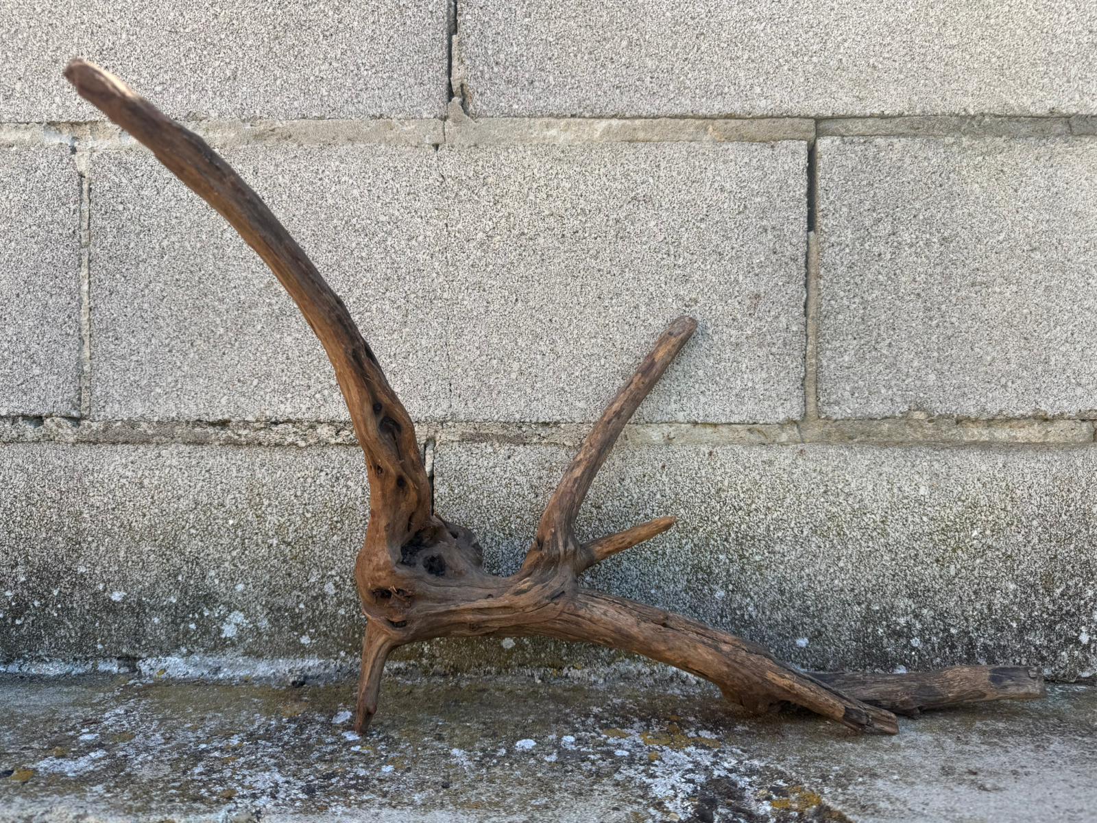 Drift Wood - 61*20*25- cod.103 AQPET