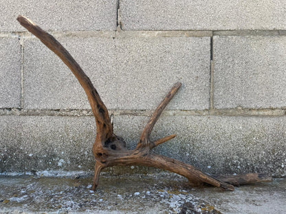 Drift Wood - 61*20*25- cod.103 AQPET
