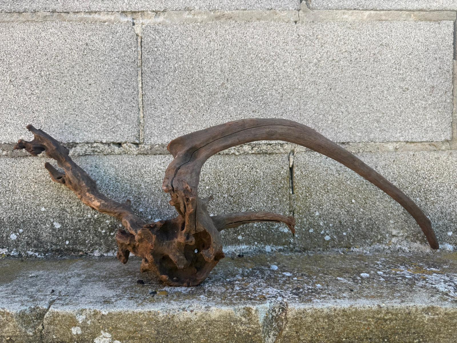 Drift Wood - 64*19*20 - cod.104 AQPET