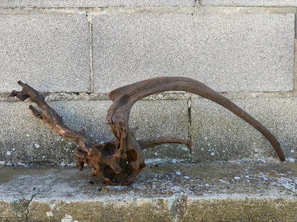 Drift Wood - 64*19*20 - cod.104 AQPET