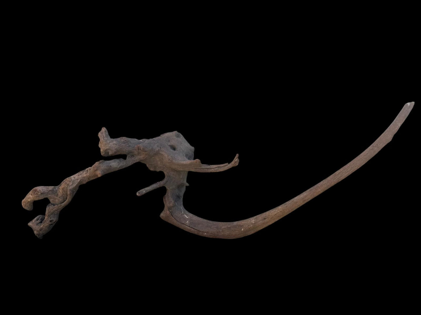 Drift Wood - 64*19*20 - cod.104 AQPET