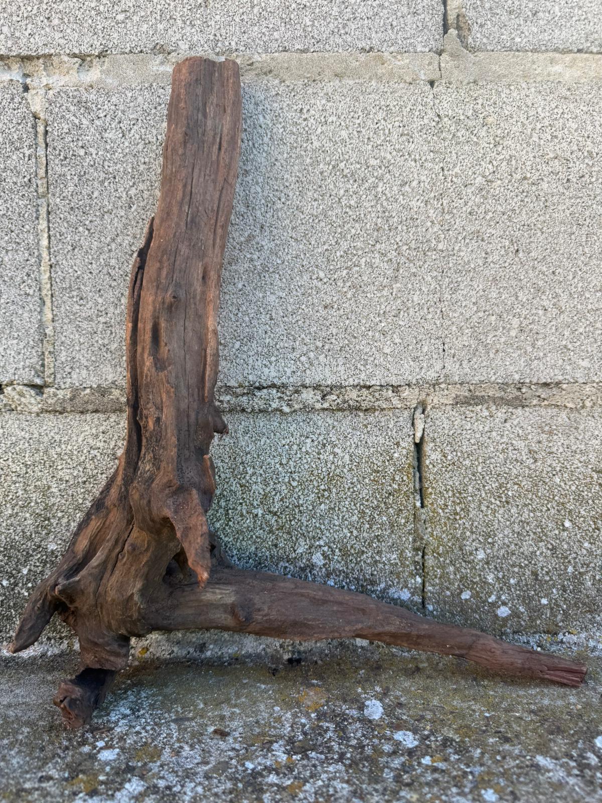 Drift Wood - 33*12*36 - cod.105 AQPET